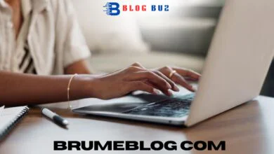 brumeblog com